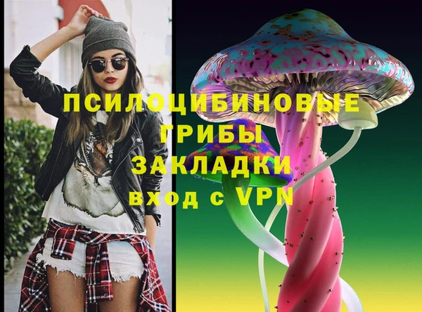 МДМА Бородино